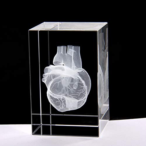 3D преспапиета с анатомична модел на човешкото сърце (с лазер) под формата на кубчета от кристално стъкло, научен