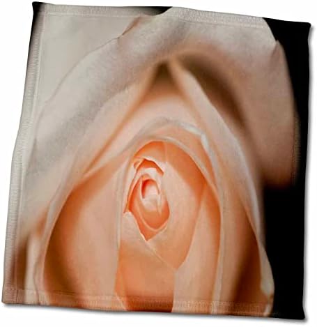 Триизмерна снимка на Красиво Цвете Peachtree Рози - Кърпи (twl-267555-3)