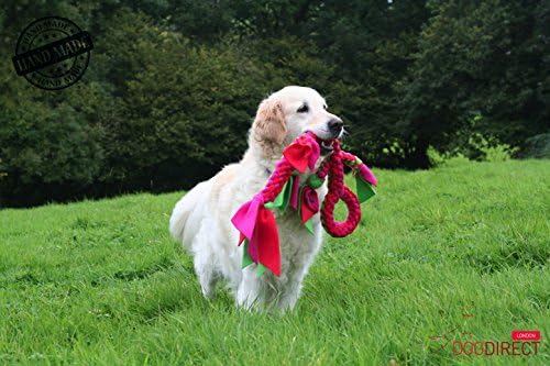 DogDirect London, Играчки за теглене въже за кучета, Играчка-Гущер, Меки Плетени играчки за кучета от гъвкави