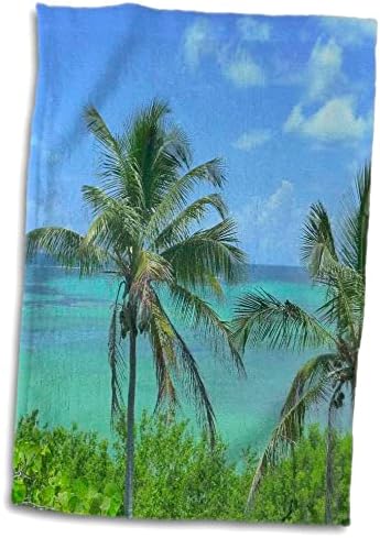 Кърпи 3dRose Florene Landscape - Florida Key Perfection (twl-7281-1)