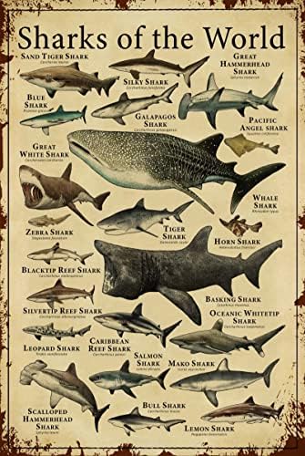 Познаване На Акули Метална Лидице Знак Акули В Света Забавно Ретро Постер Образование Аквариум Ловна Хижа Хол