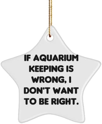 Бижу във формата на звезда за аквариум във формата на шега, Ако Аквариум съдържа погрешно, аз не искам, Подарък
