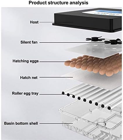 Дигитален Автоматичен Инкубатор ZJDU, Инкубатор за яйца с функция за автоматично завъртане, с контрол на температурата,